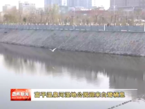 富平温泉河湿地公园迎来白鹭栖息