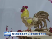 传承发展麦草工艺 让“麦秆文化”走向世界