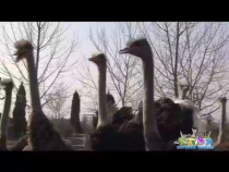 天下旅游2月23日