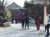 天下旅游3月9日
