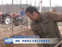 蒲城：种养结合  打造生态果蔬基地