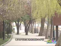 天下旅游3月23日