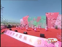 华阴市全域旅游宣传推广系列活动启动仪式