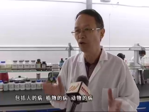 相約科技5月15日