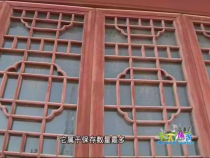 天下旅游5月17日