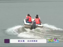 天下旅游6月19日