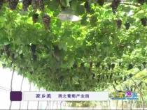 天下旅游6月28日