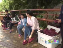 天下旅游6月9日