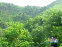 天下旅游6月21日