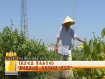 《脱贫攻坚 渭南在行动》蒲城县尧山镇：传帮带种好“脱贫花”