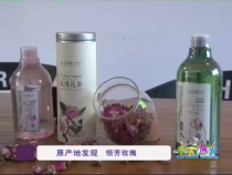 天下旅游7月3日
