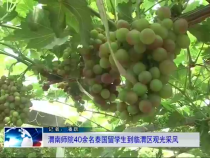 友城之窗7月9日