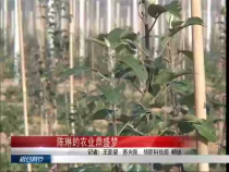相约科技7月17日