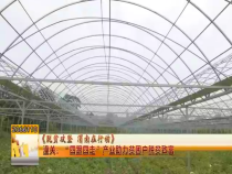 《脱贫攻坚渭南在行动》潼关：“四跟四走”产业助力贫困户脱贫致富