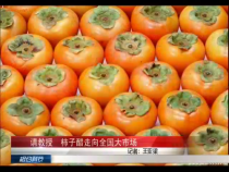 相约科技8月14日