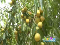 天下旅游9月27日