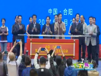 天下旅游9月29日