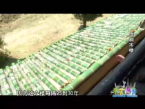 天下旅游9月8日