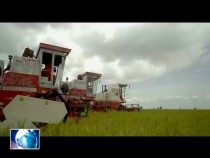 友城之窗10月8日