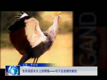 友誠之窗10月15日