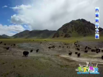 天下旅游10月23日