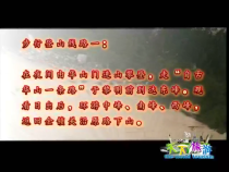 天下旅游11月17日