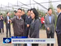 友城之窗11月12日