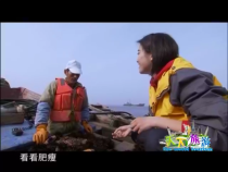 天下旅游12月1日