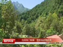 相约科技1月15日