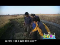 天下旅游1月8日