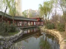 调查3月19日