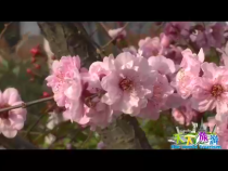 天下旅游3月21日