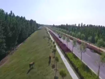 高新報道3月12日