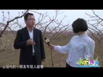 天下旅游3月26日