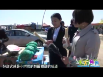 天下旅游3月12日
