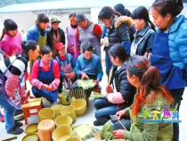 天下旅游4月4日