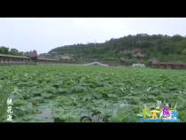 天下旅游5月18日