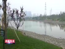 高新报道5月23日