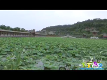 天下旅游5月21日