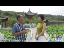 天下旅游6月13日