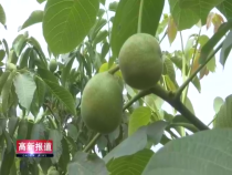 高新报道7月18日