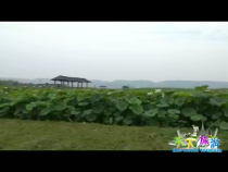 天下旅游7月18日