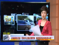 8月21日 東秦百姓