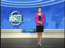 调查 8月12日