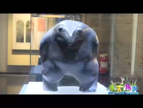 天下旅游9月5日