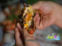 天下旅游9月19日