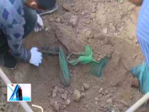 東秦百姓11月12日