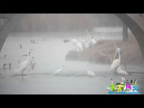天下旅游12月21日