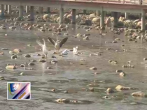 東秦百姓12月22日