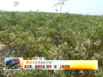 東秦百姓12月31日